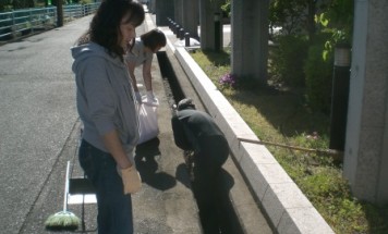 ポレスター芳泉　町内一斉清掃　２０１７年５月２８日開催